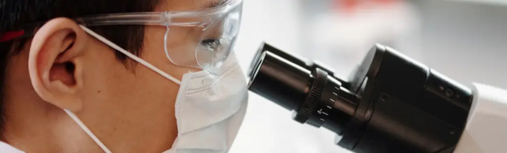 STEMCELL Accelerates App Dev with Reusable Modules, Templates, and Youth Talent