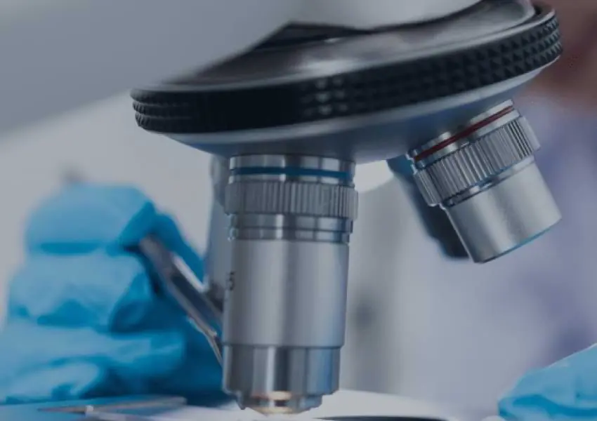STEMCELL Accelerates App Dev with Reusable Modules, Templates, and Youth Talent