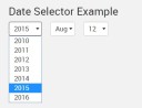 dateselector