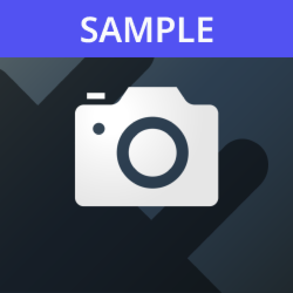 Camera Sample App